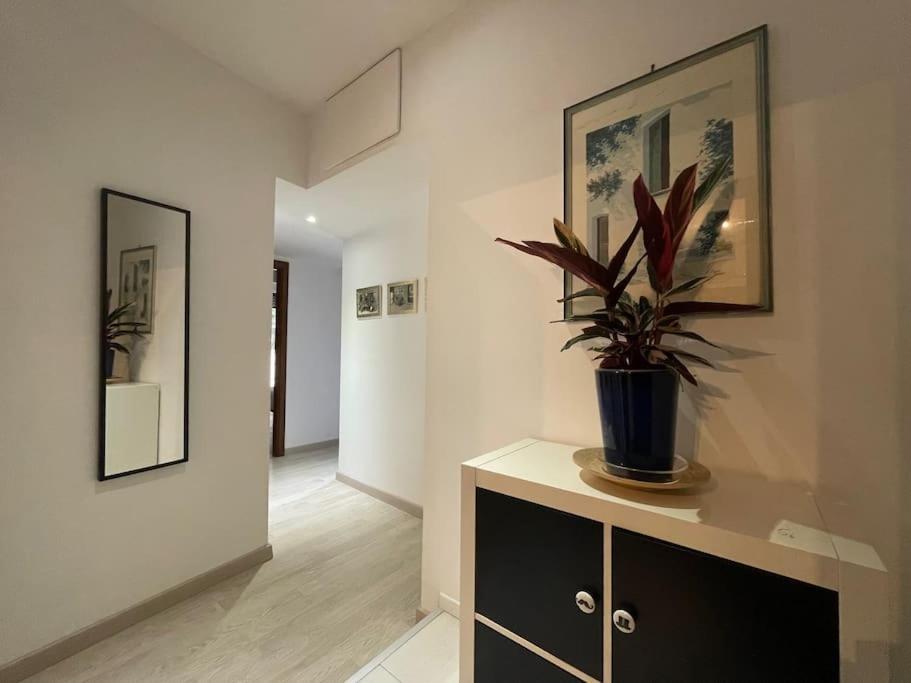 Spacious And Bright 罗马 外观 照片
